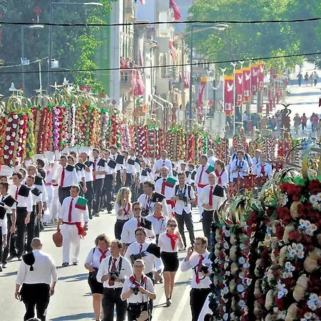 Tomarhousing - Templar 아파트 *